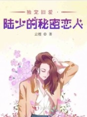 独宠旧爱·陆少的秘密恋人
